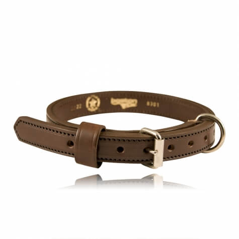 Boston Leather 1” K-9 Collar